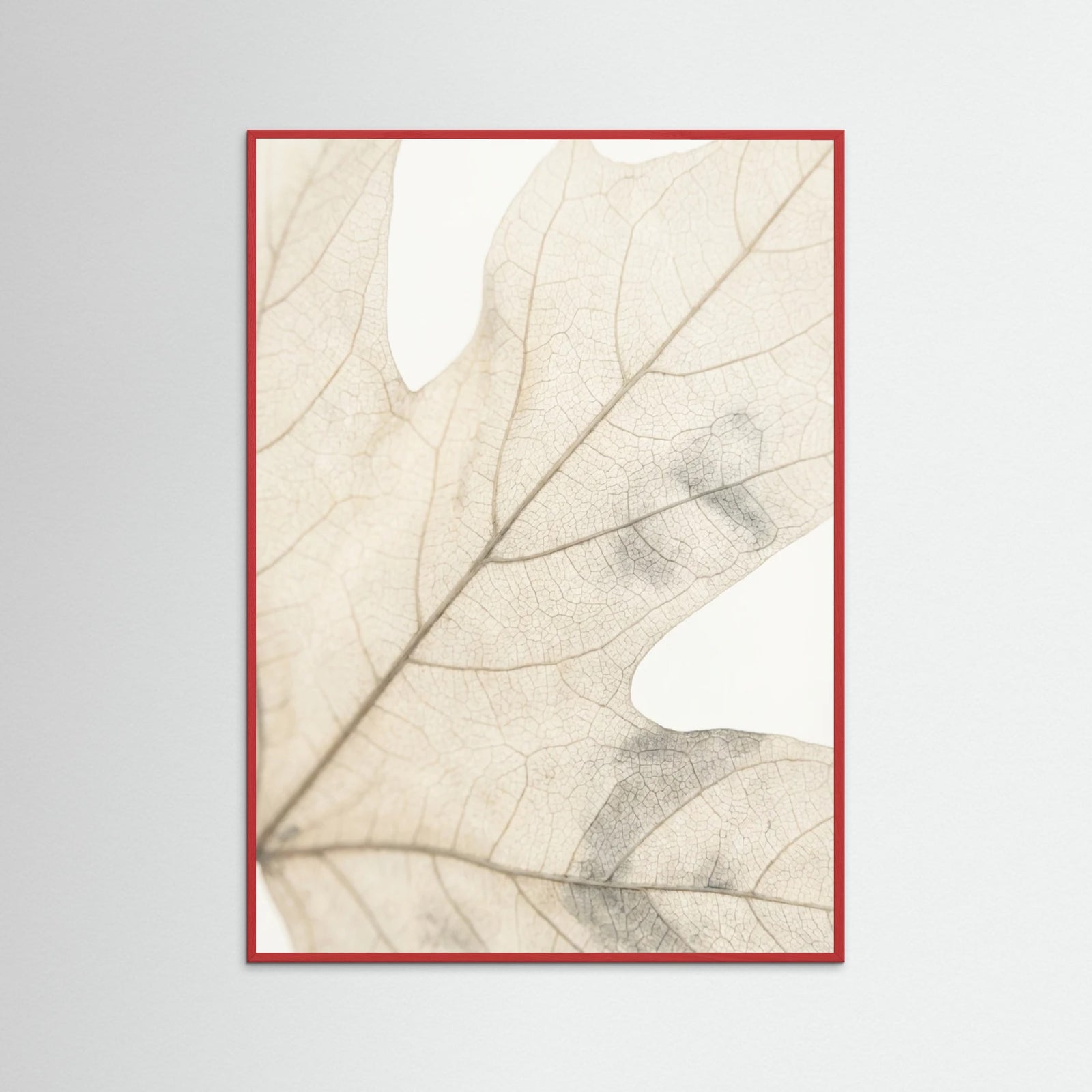 Red Wood Faded Petals