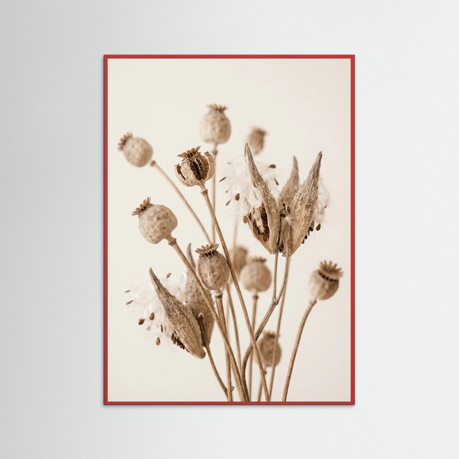Red Wood Fading Whisper