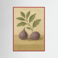 Red Wood Fig study