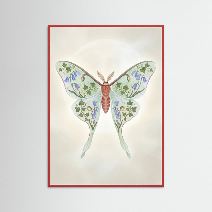 Red Wood Floral Moth Study