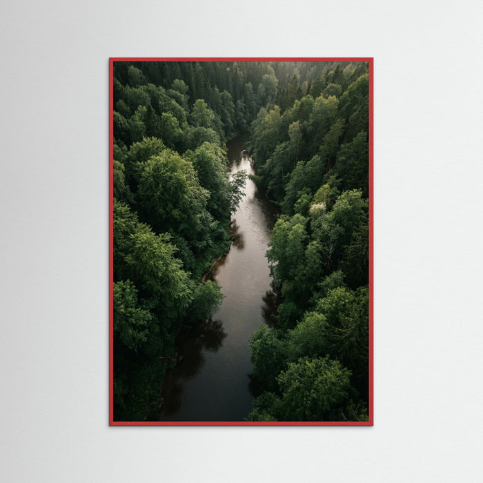 Red Wood Forest Traverse
