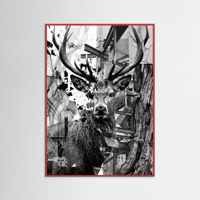 Red Wood Fractured Gaze