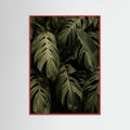 Red Wood Frond Shadows