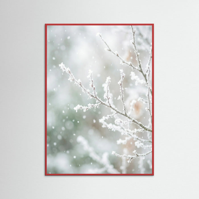 Red Wood Frosted Pines