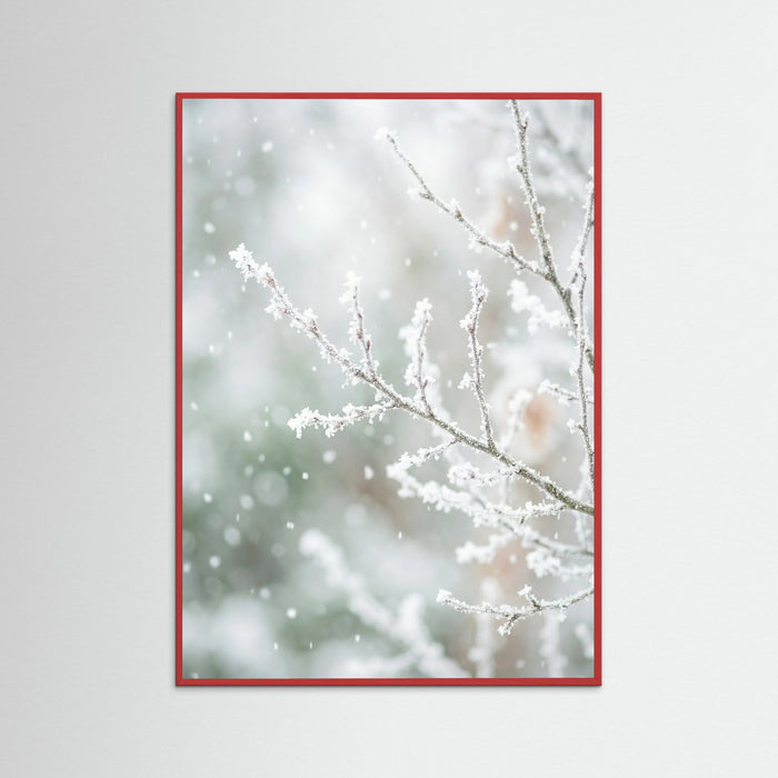 Red Wood Frosted Pines