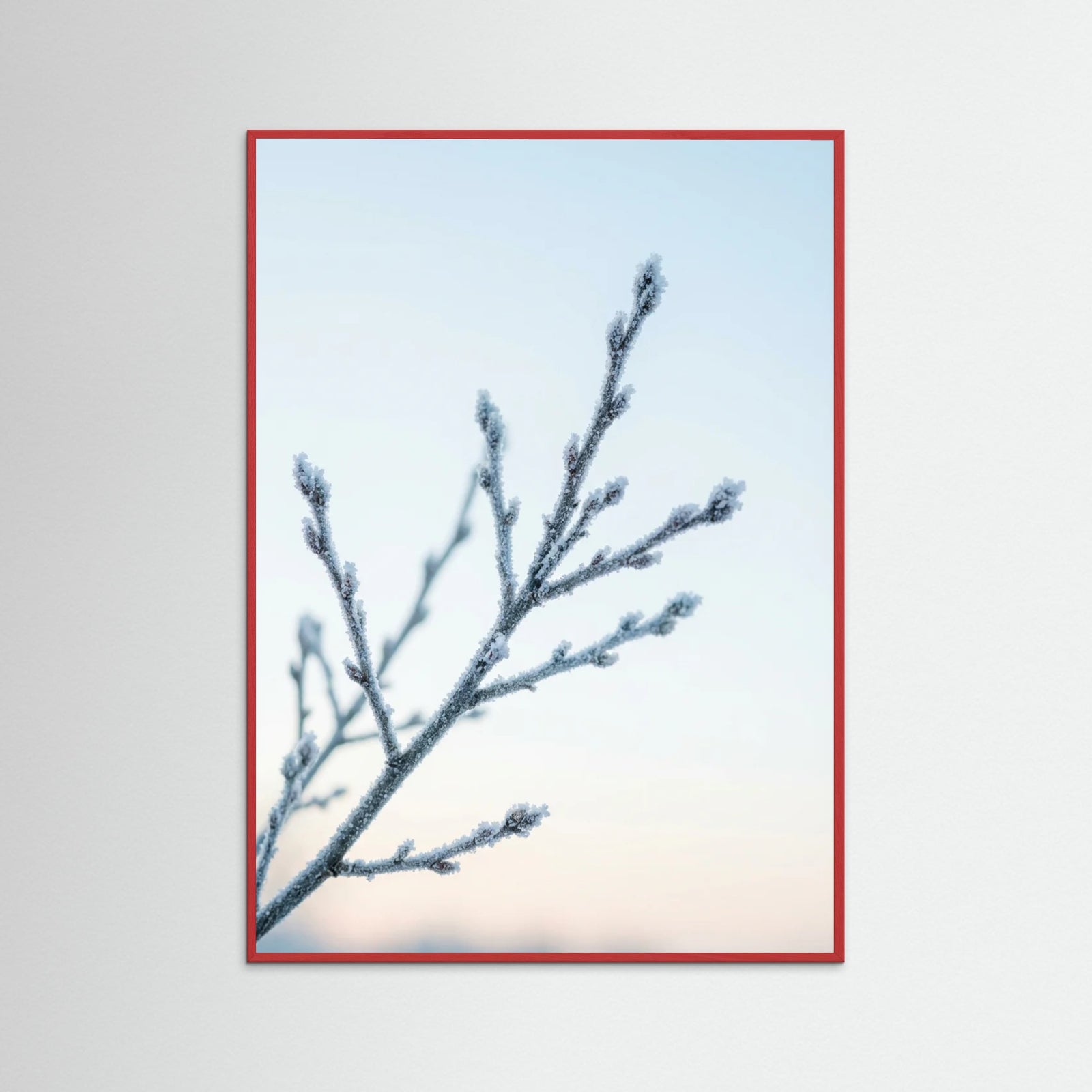 Red Wood Frozen Whisper
