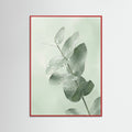 Red Wood Ginkgo Dew