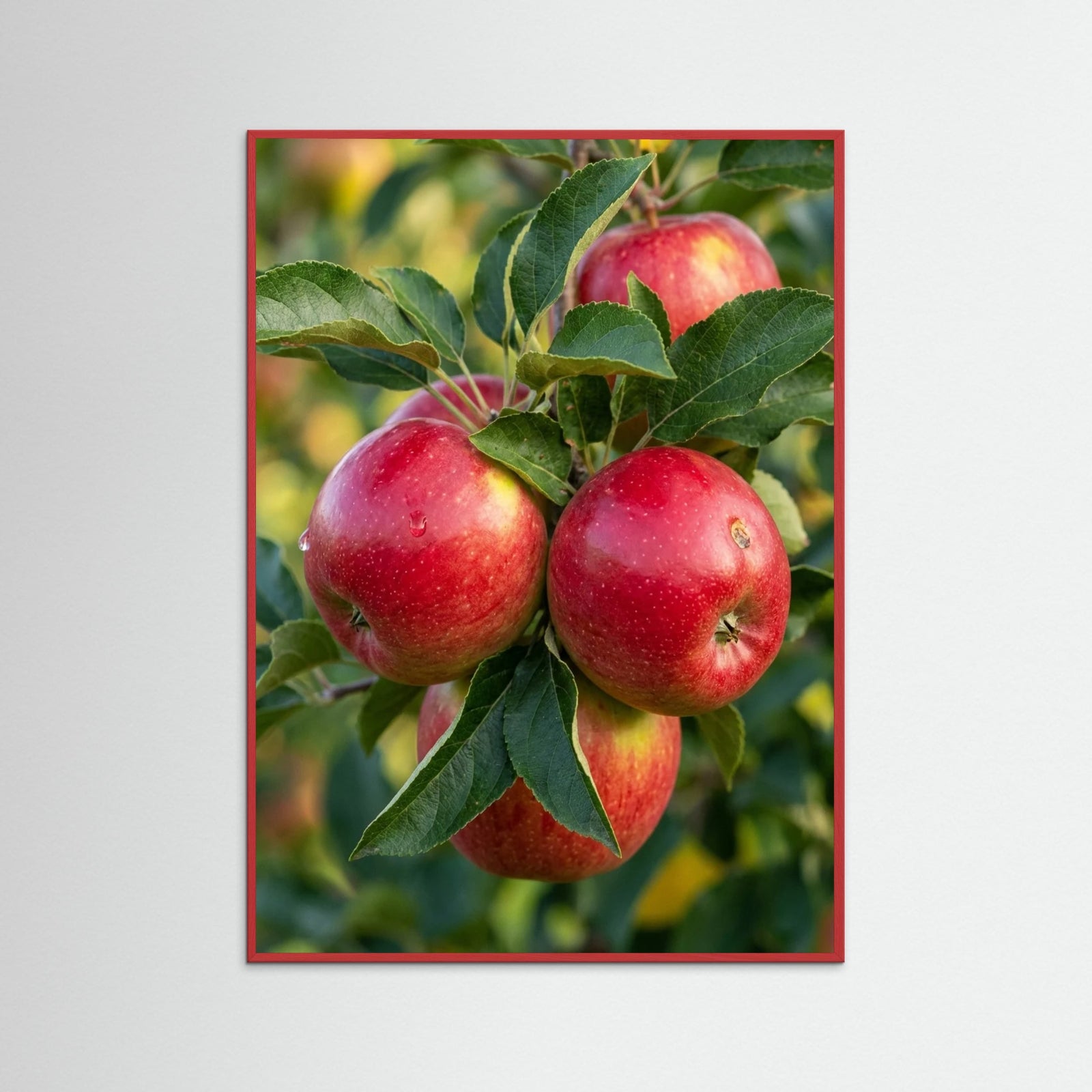 Red Wood Golden Citrus Harvest