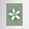 Red Wood Green Coffee Serenity