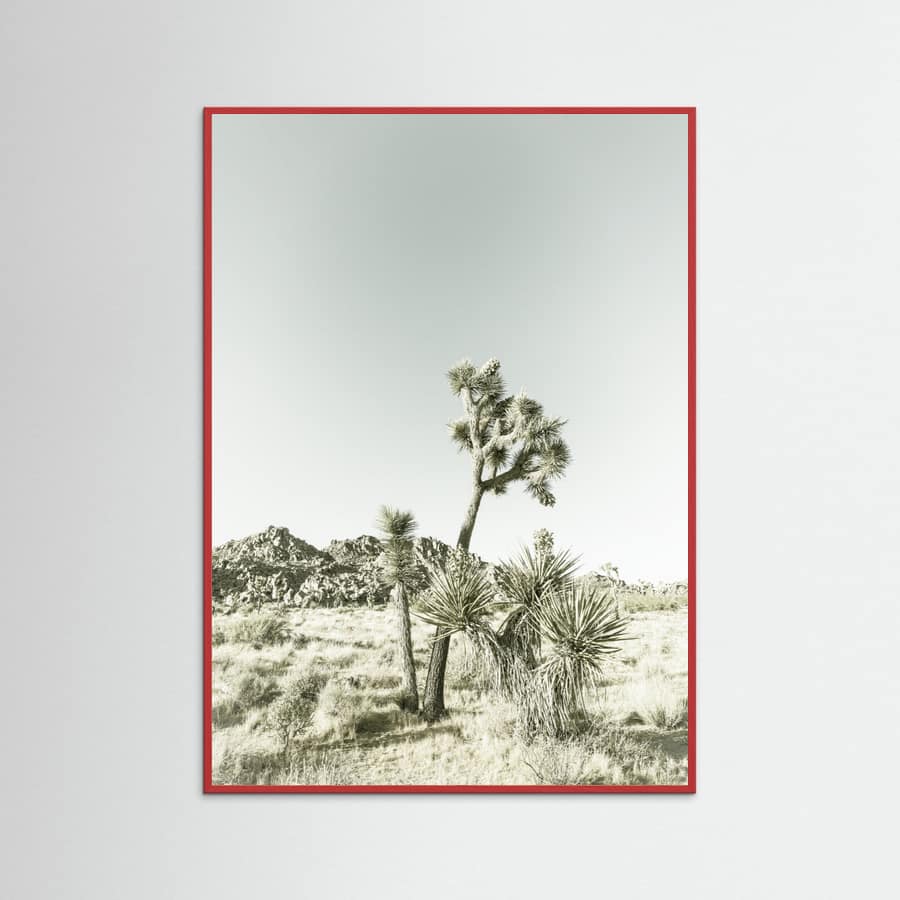 Red Wood Joshua Tree National Park Vintage Impression Poster