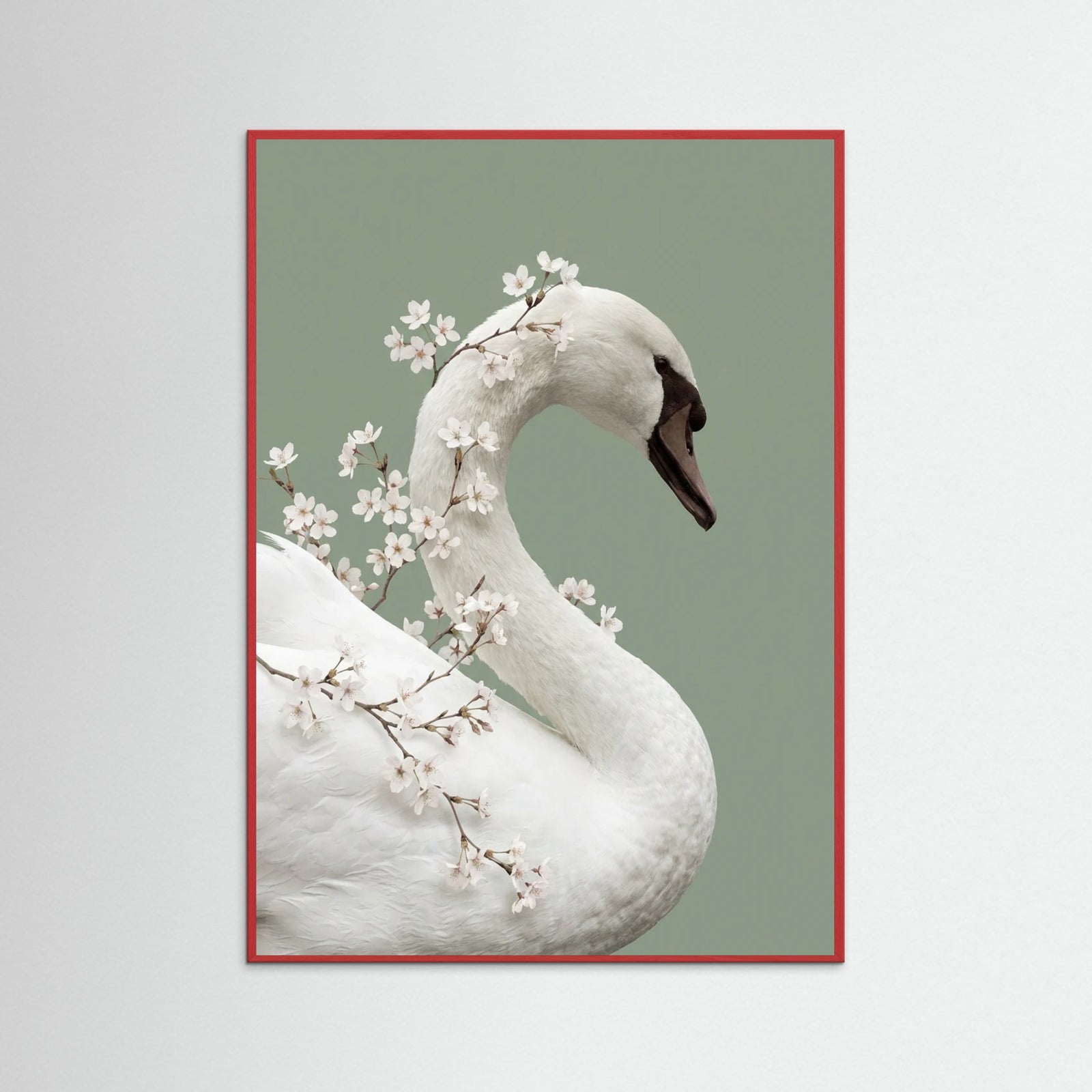 Red Wood Lilys Whisper