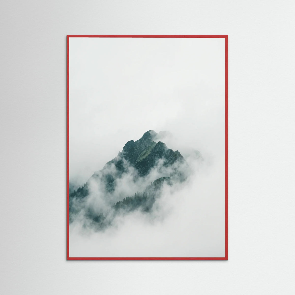 Red Wood Misty Forest Canopy