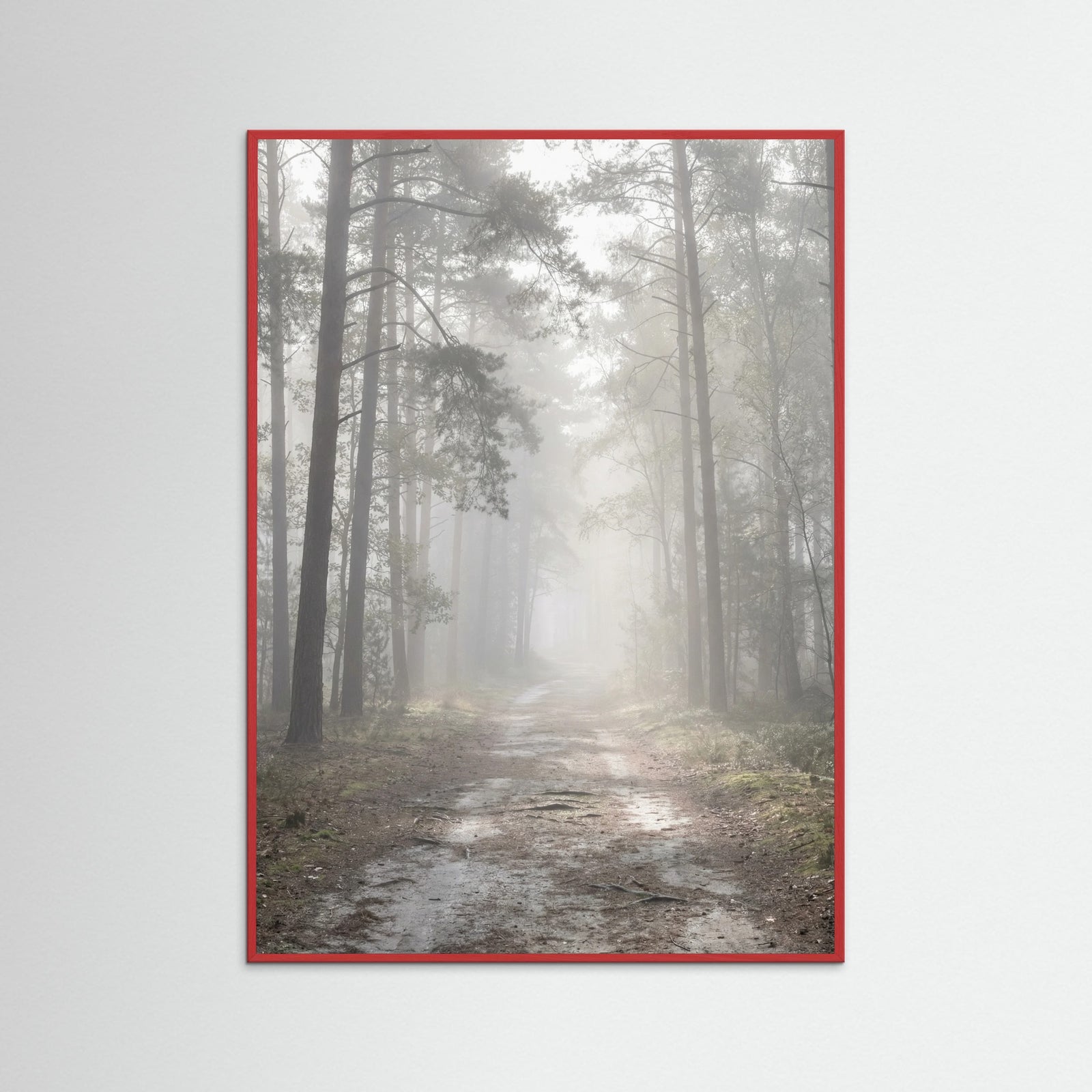 Red Wood Misty Lake Boat