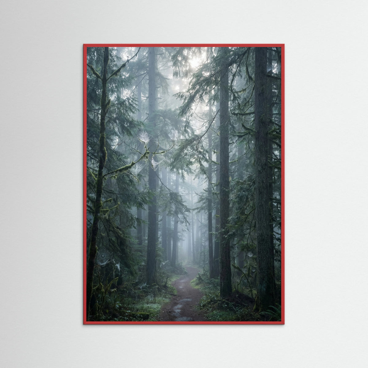 Red Wood Misty Mountain Lake Blue