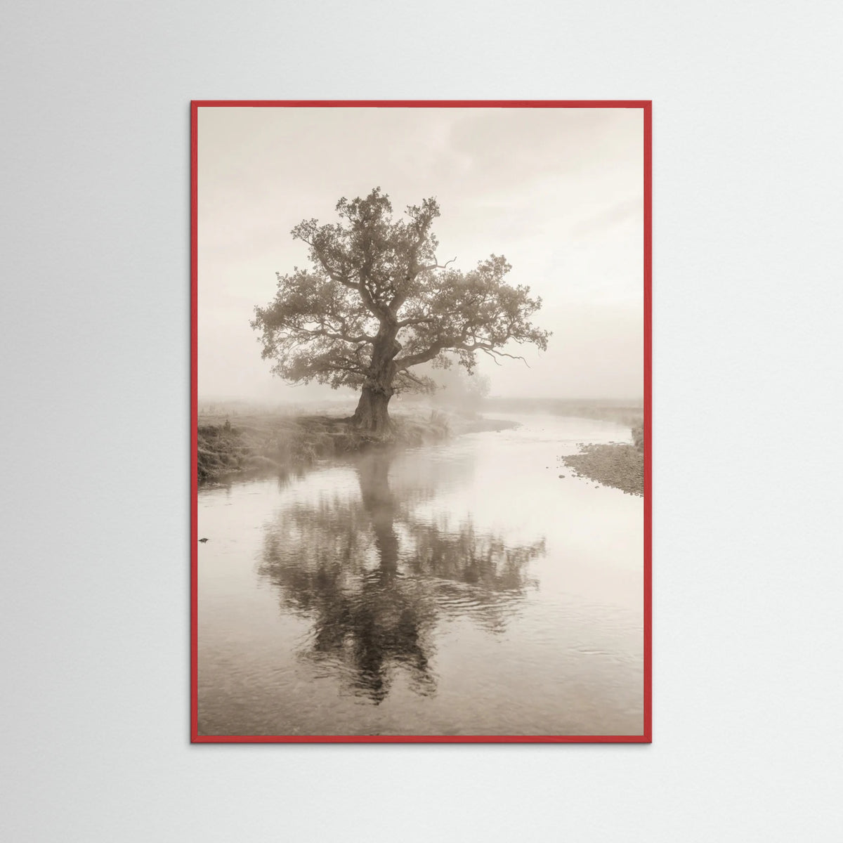 Red Wood Misty Mountain Serenity