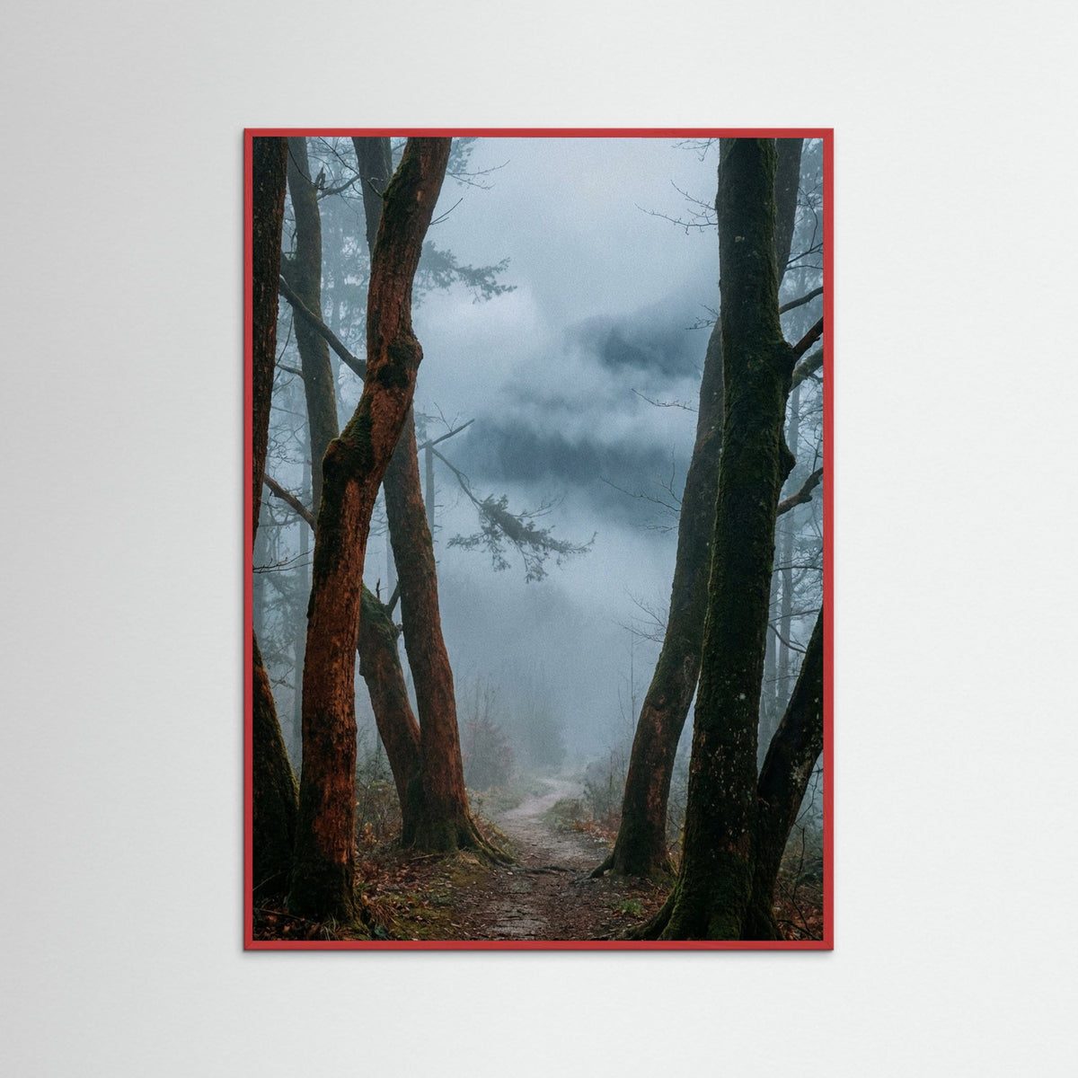 Red Wood Misty Pines