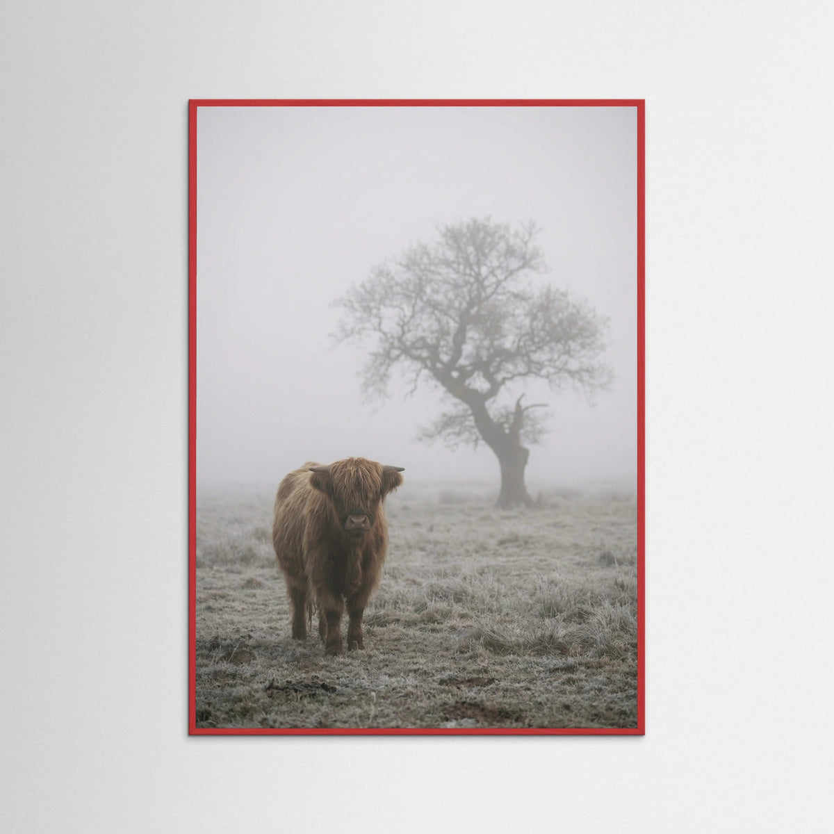 Red Wood Misty Sheep