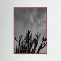 Red Wood Monochrome Cactus Sky Poster