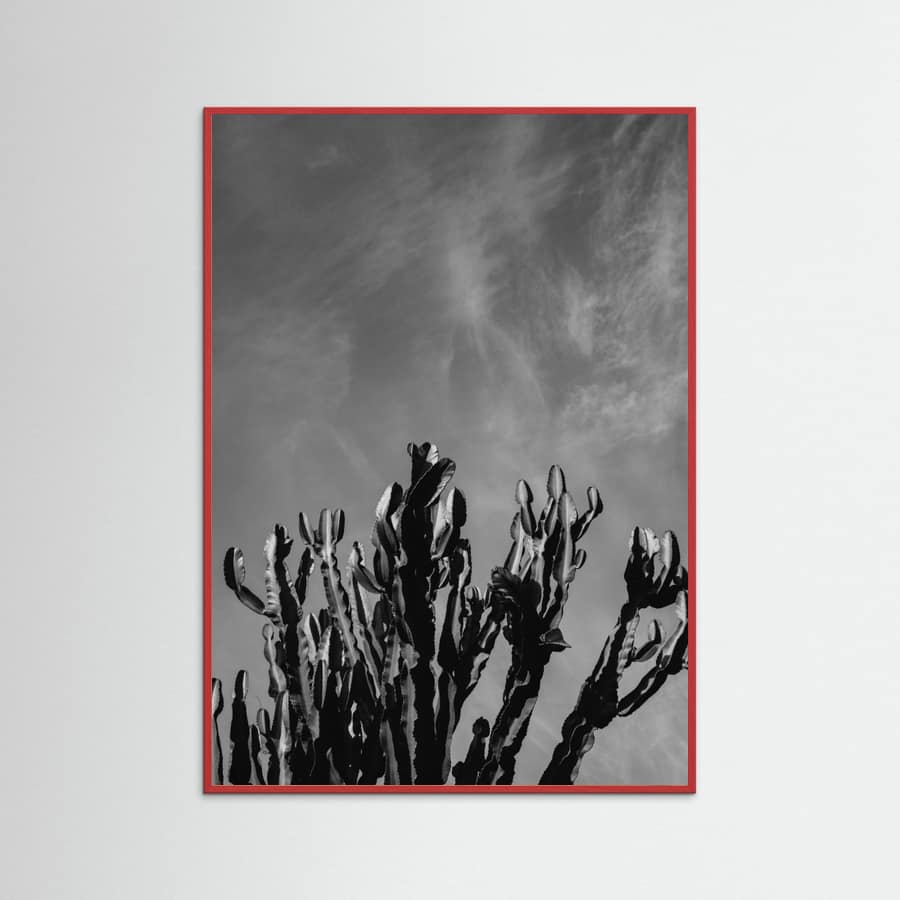 Red Wood Monochrome Cactus Sky Poster