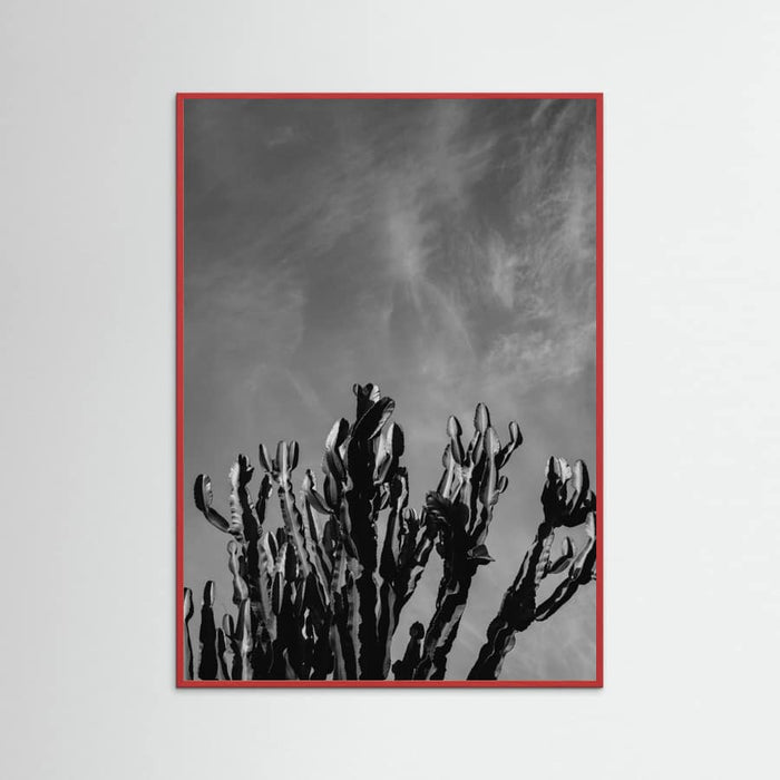 Red Wood Monochrome Cactus Sky Poster
