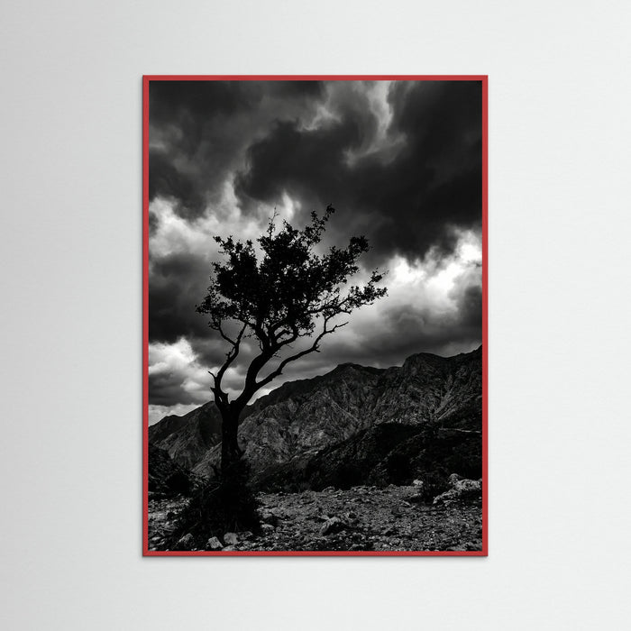 Red Wood Monochrome Seascape