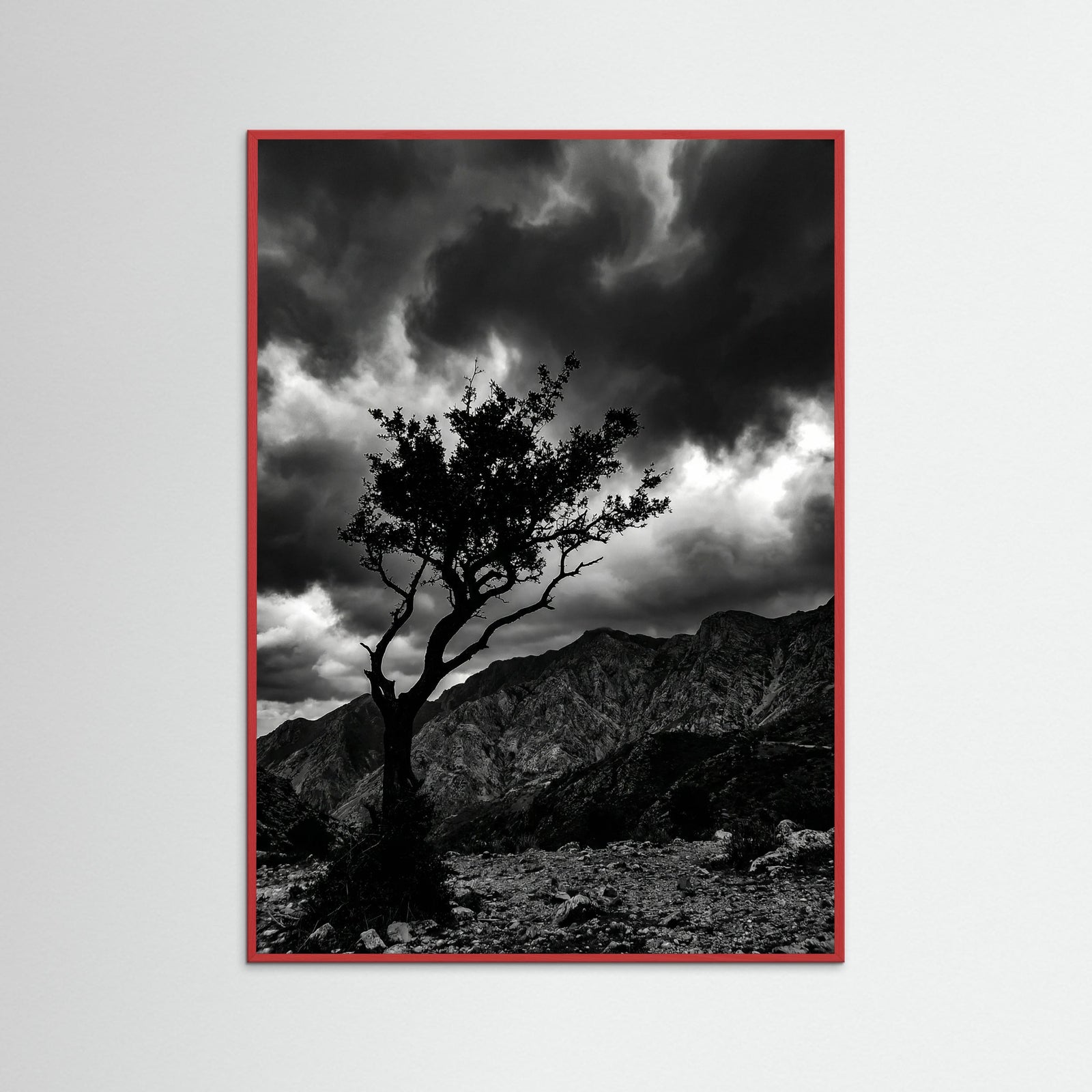 Red Wood Monochrome Seascape