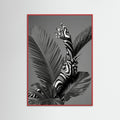 Red Wood Monstera Grace