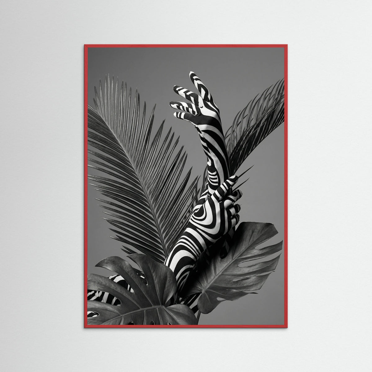 Red Wood Monstera Grace