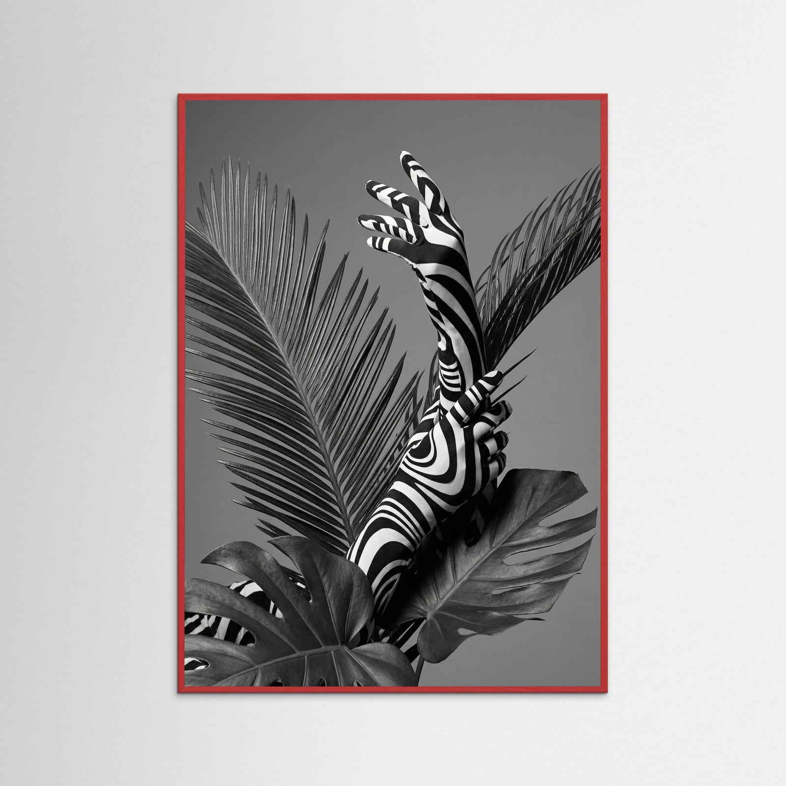 Red Wood Monstera Grace