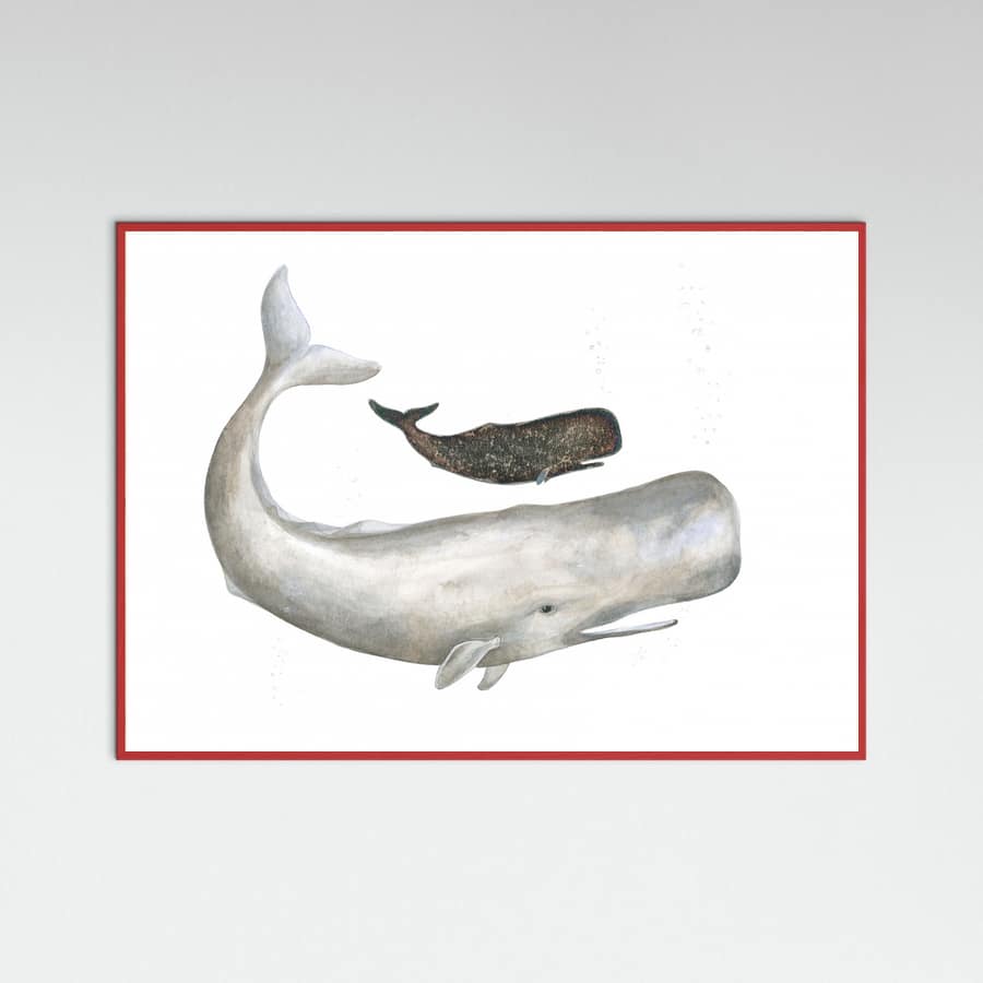 Poster Mother and Baby Sperm Whale – poster e stampa artistica