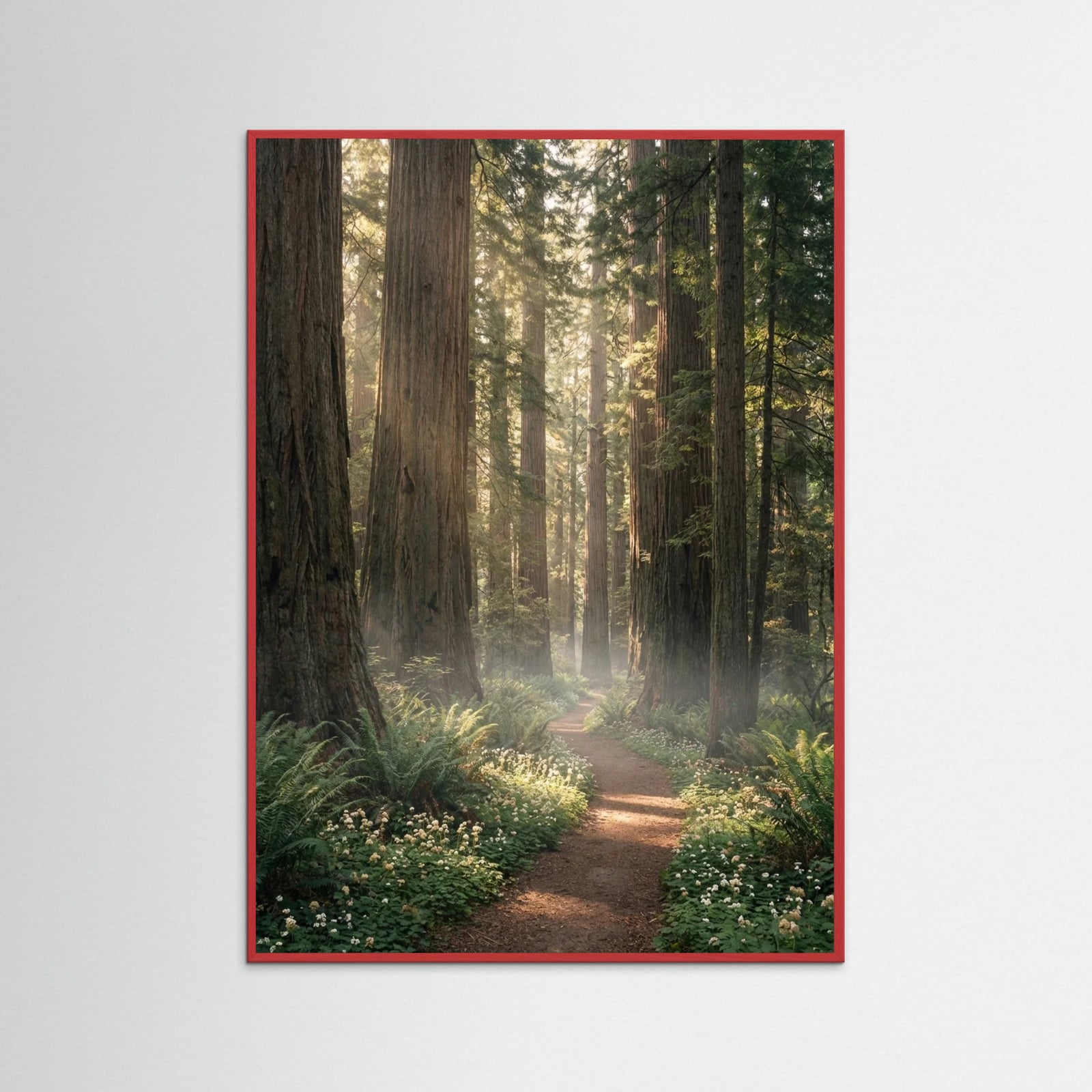 Red Wood Mountain Bloom Path