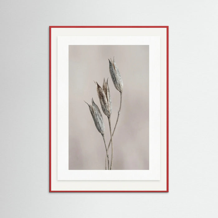 Red Wood Muted Bloom