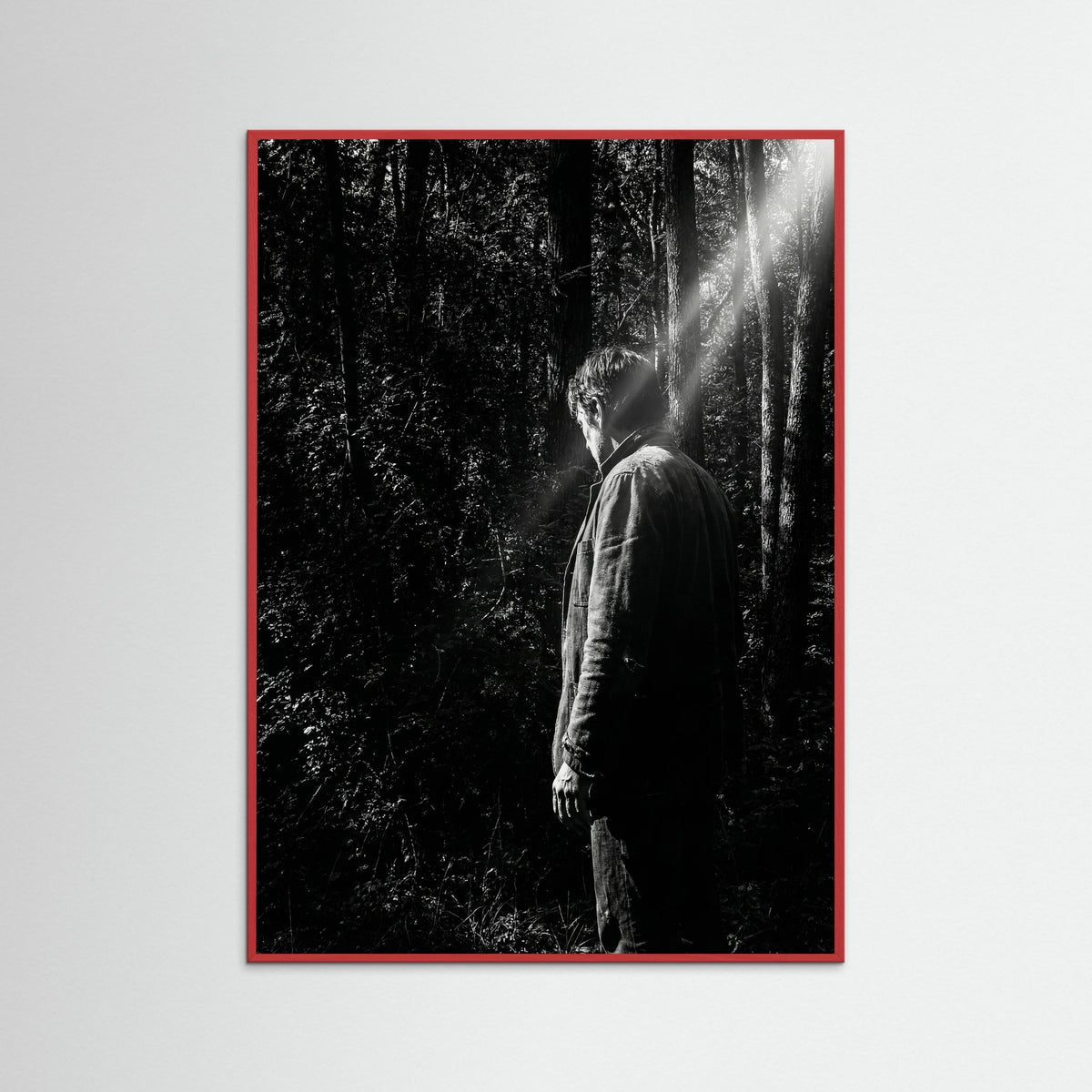 Red Wood Obscured Presence