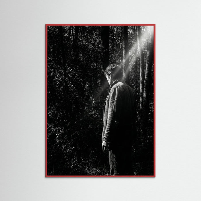 Red Wood Obscured Presence