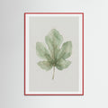 Red Wood Olive Branch Study
