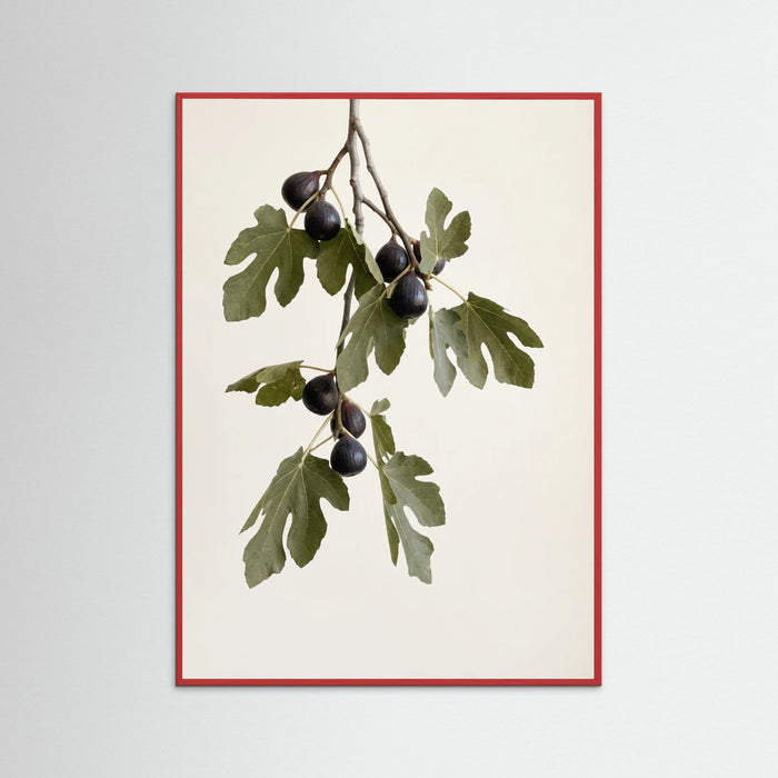 Red Wood Olive Serenity