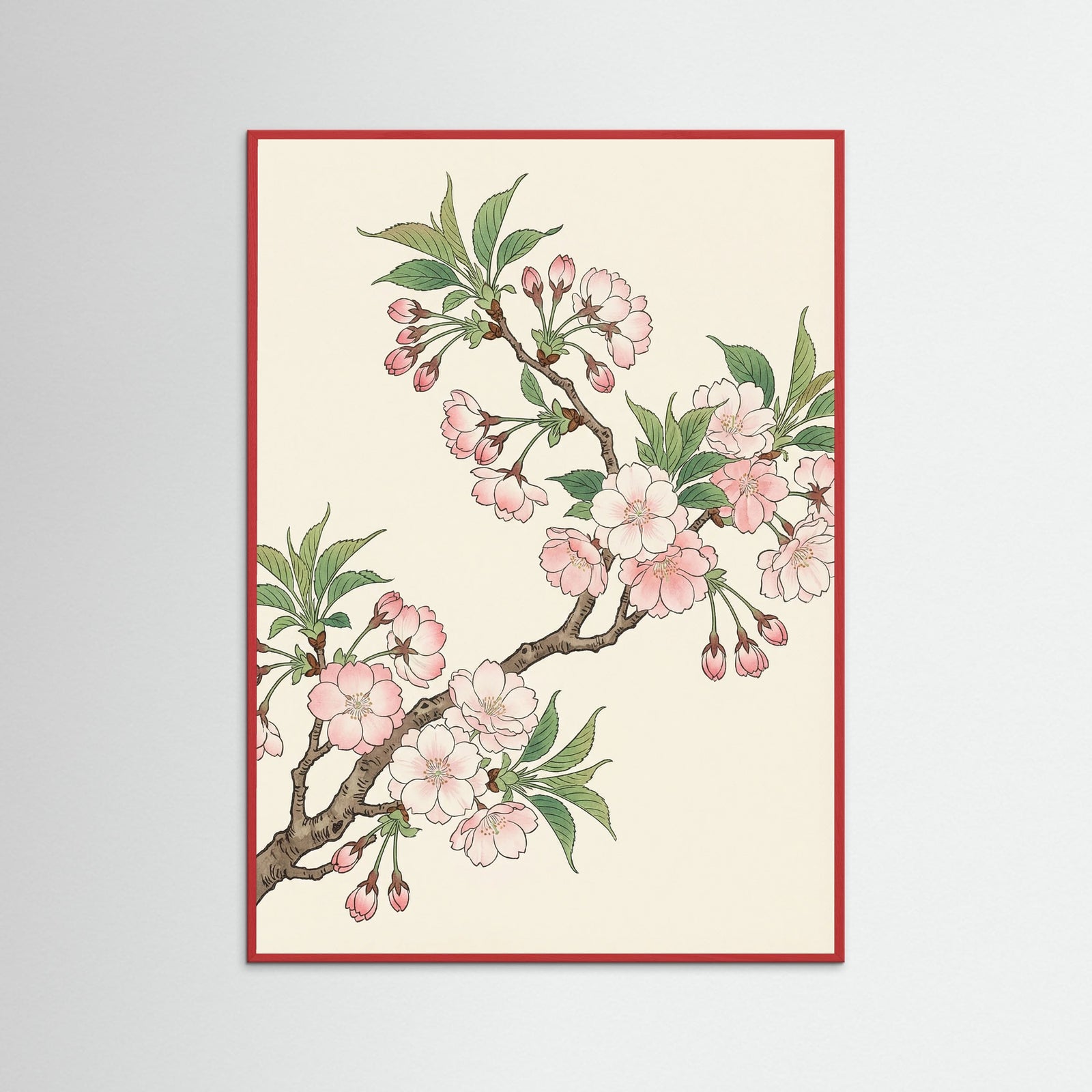 Red Wood Orange Poppy Grace