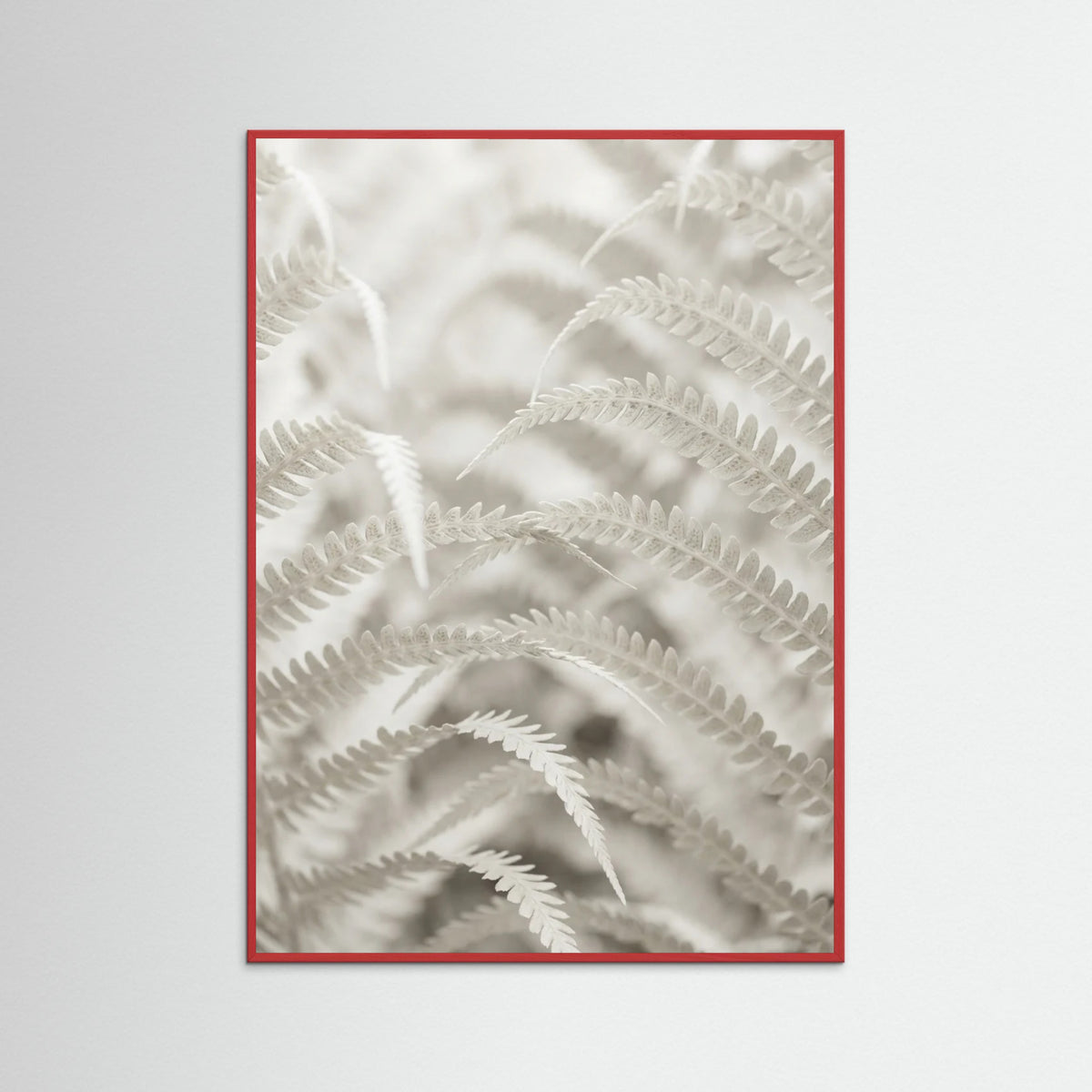 Red Wood Pale Elegance