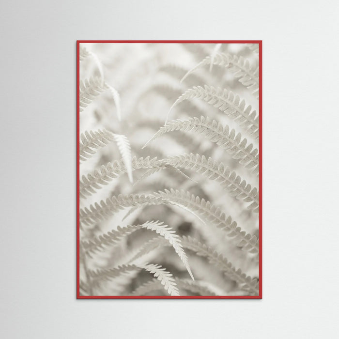 Red Wood Pale Elegance