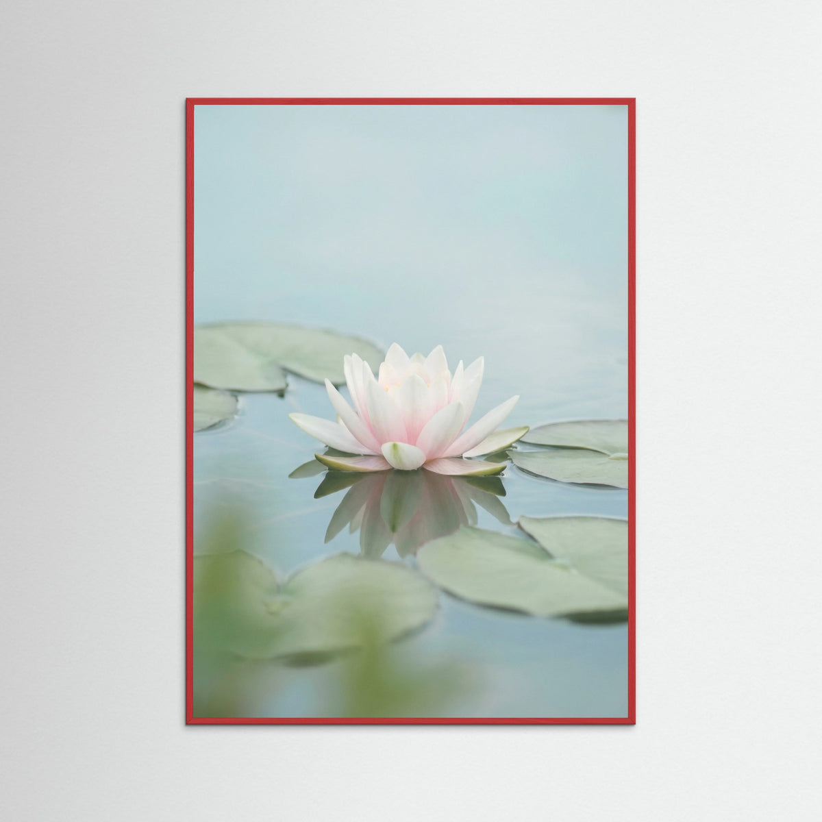 Red Wood Pink Lotus Serenity