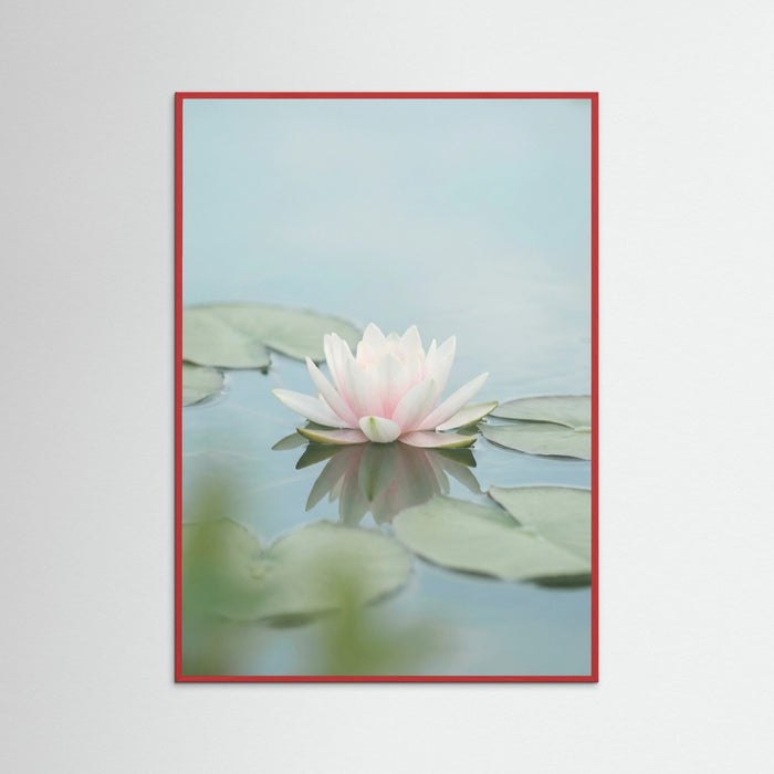 Red Wood Pink Lotus Serenity