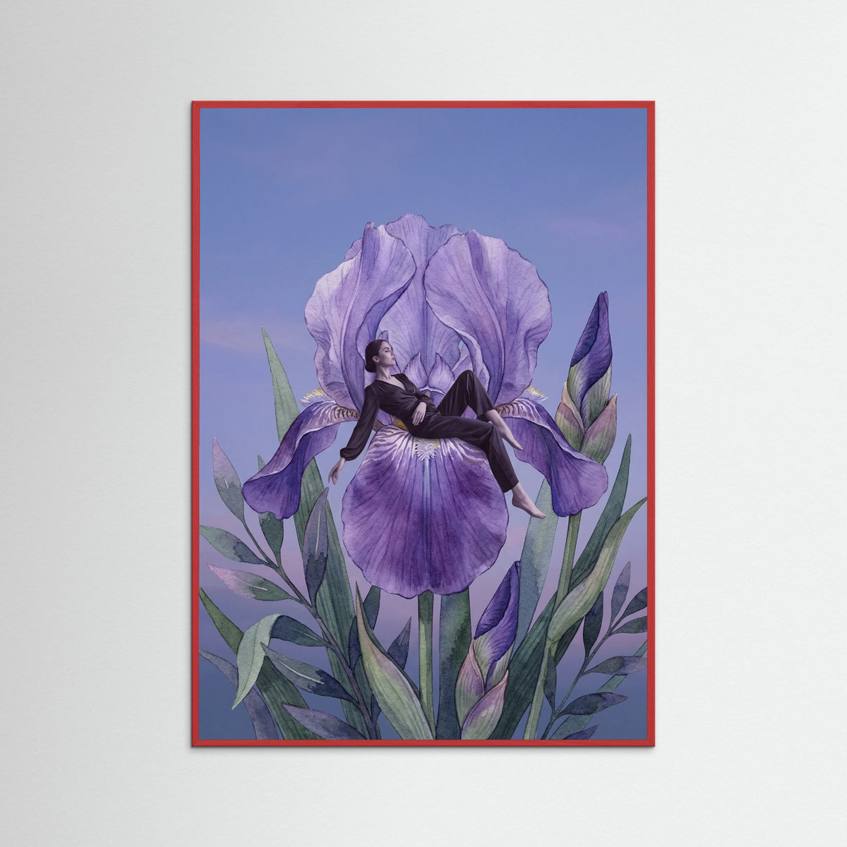 Red Wood Poppy Reverie