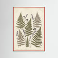 Red Wood Pressed Botanicals
