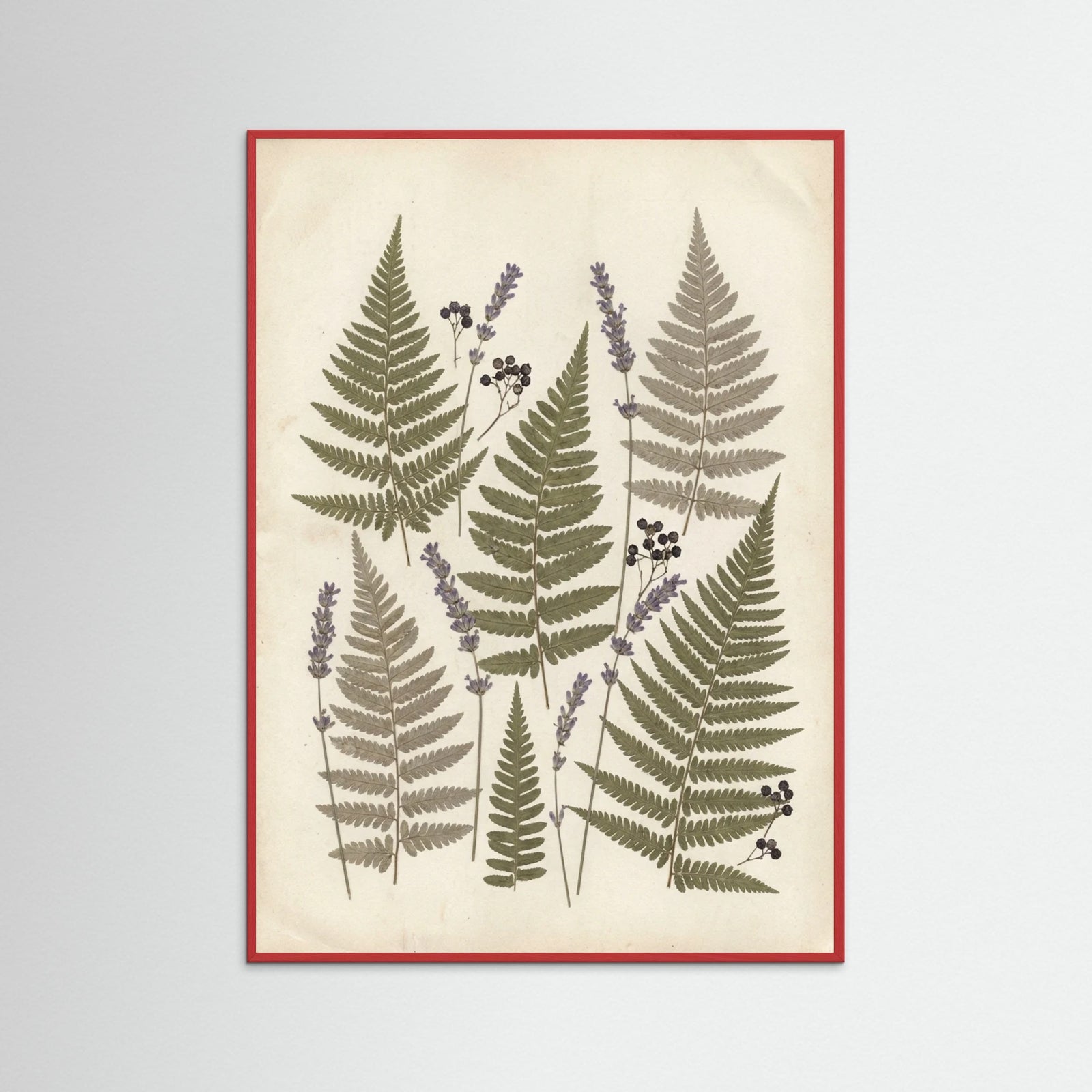 Red Wood Pressed Botanicals