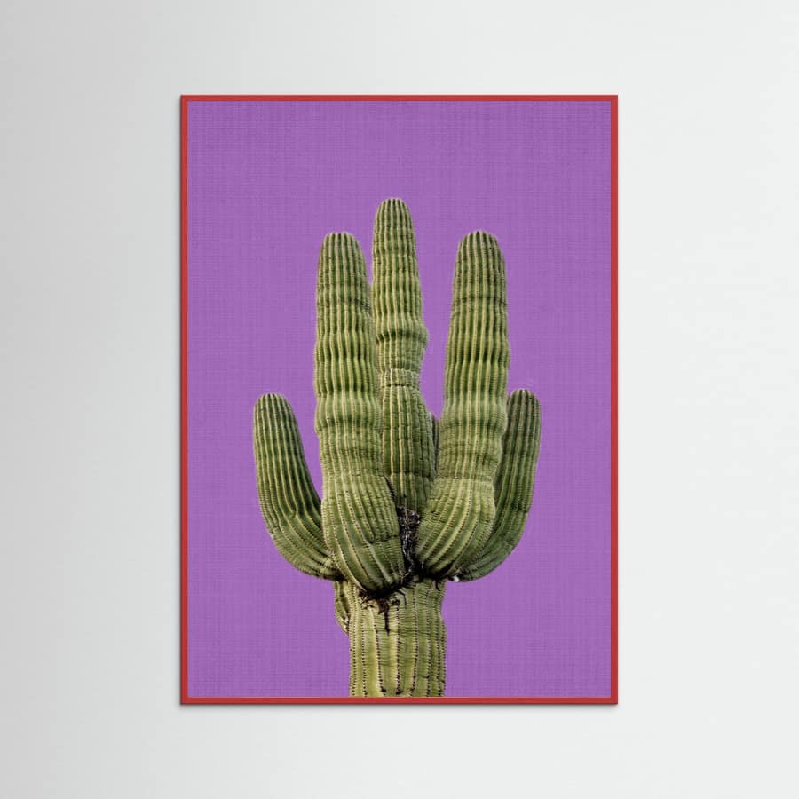 Red Wood Purple Cactus Poster