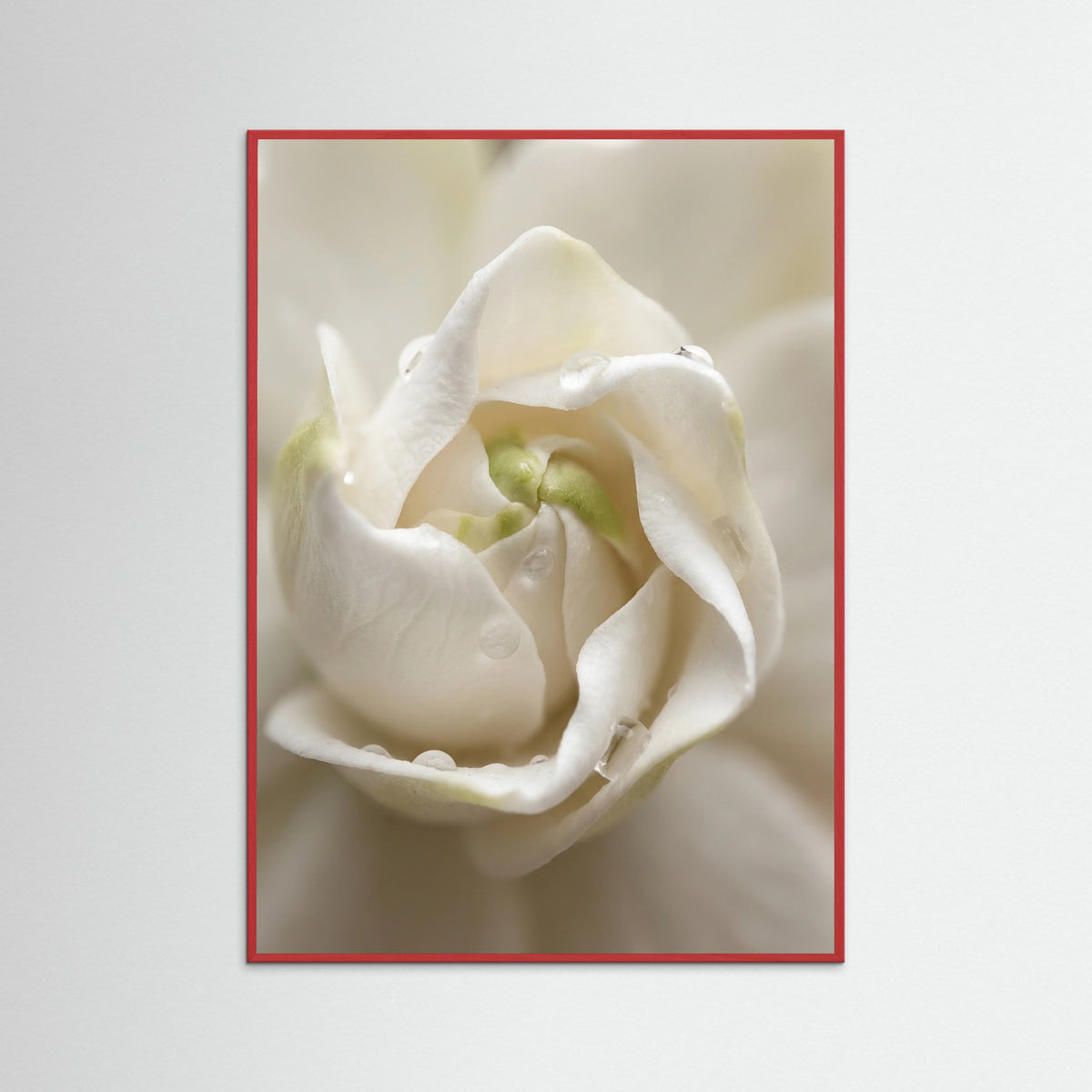 Red Wood Quiet Bloom