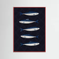 Affiche Sardines – affiche et impression d’art