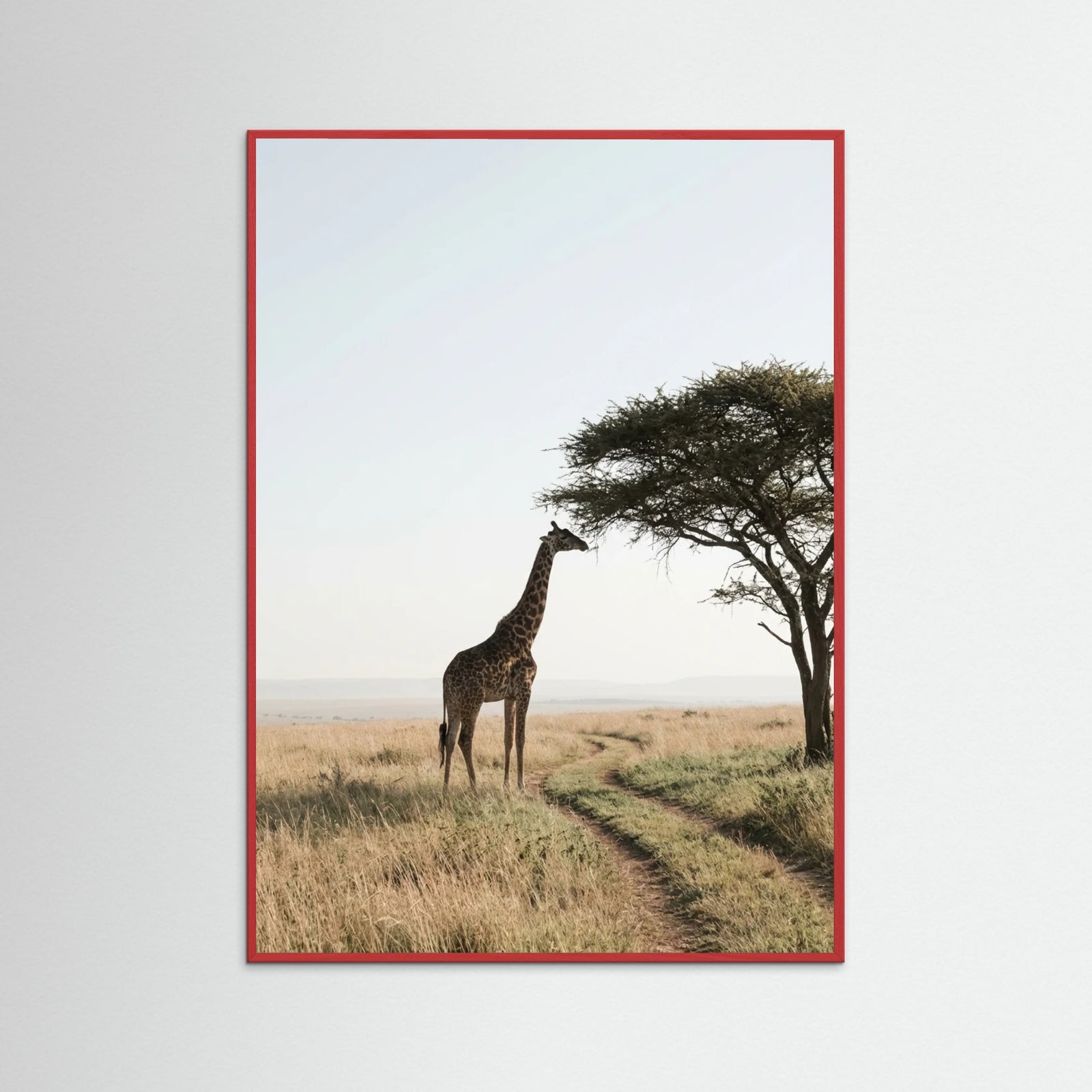 Red Wood Savanna Horizon