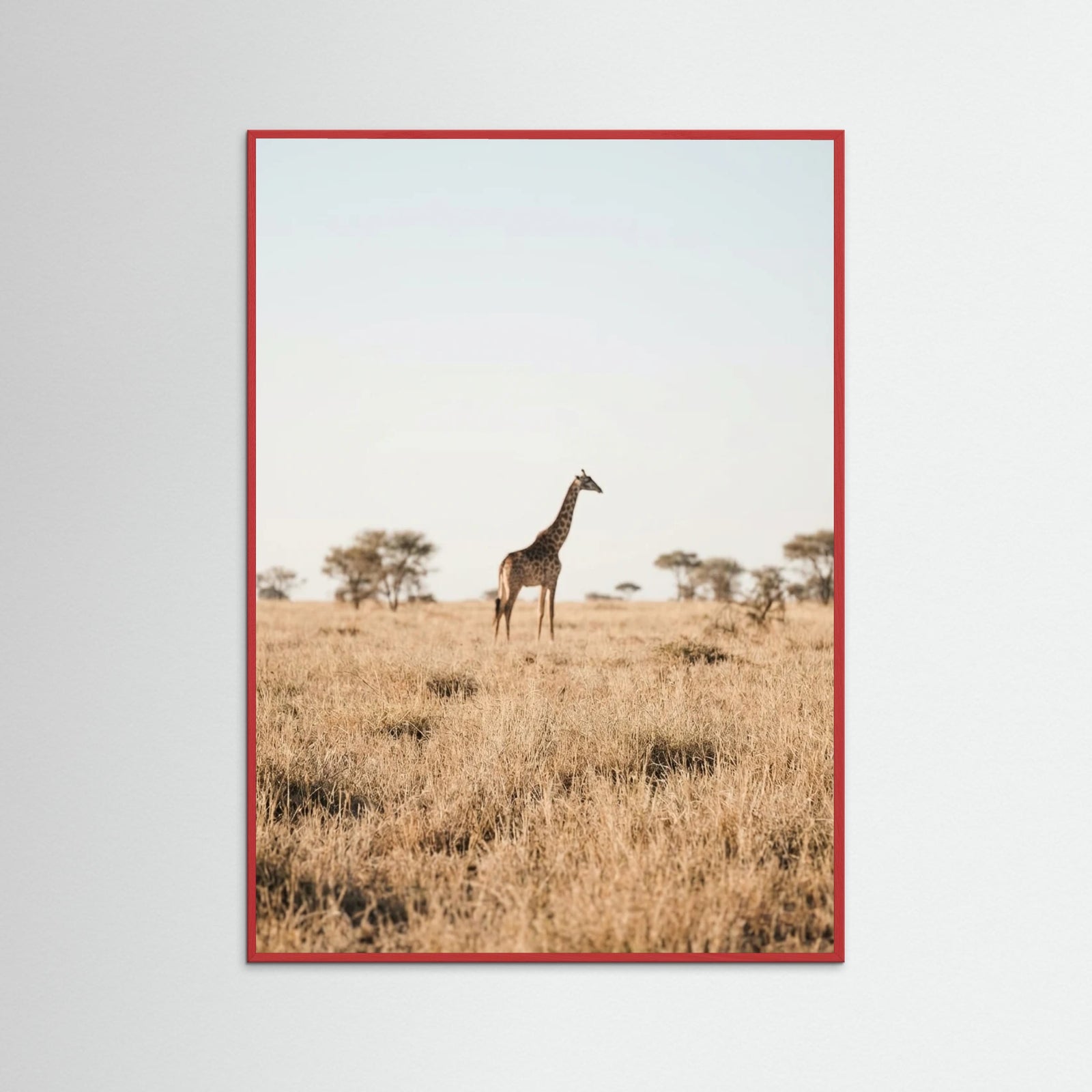 Red Wood Savannah Solitude