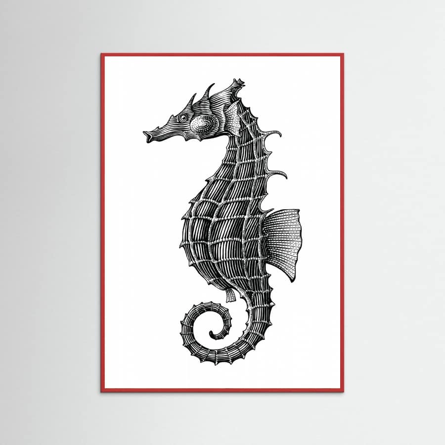Affiche Seahorse – affiche et impression d’art